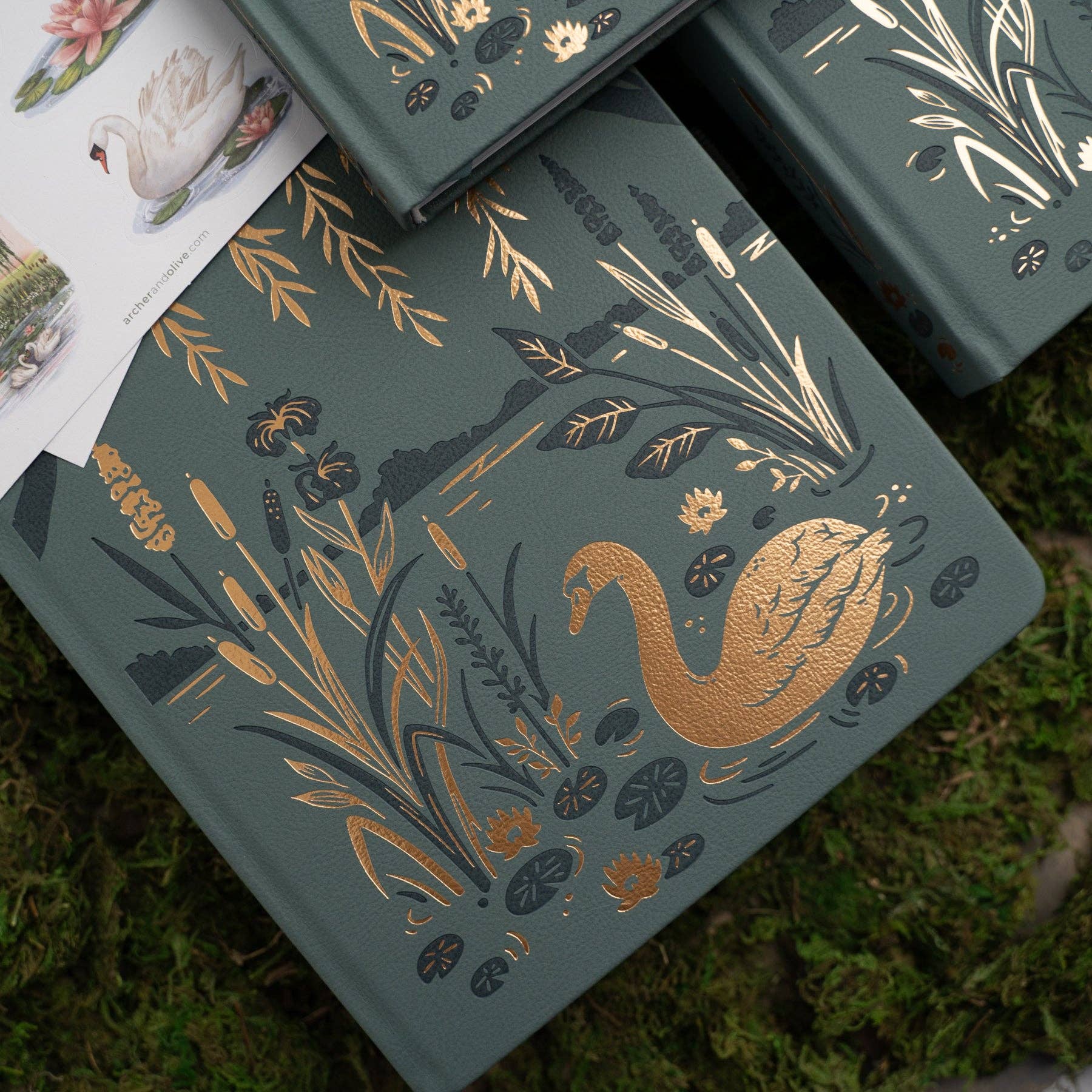 B6 Dot Grid: Swan Pond