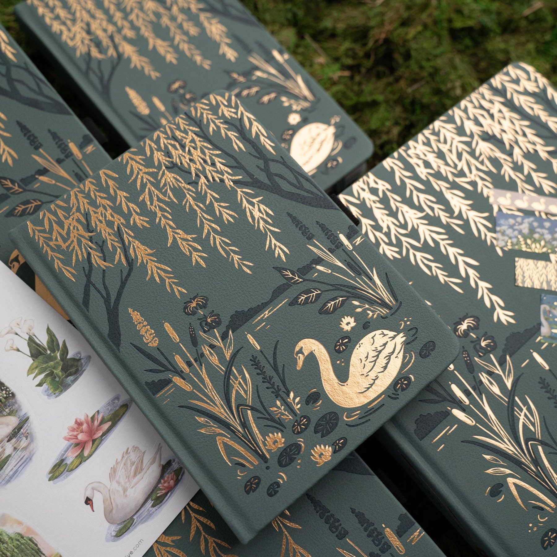 B6 Dot Grid: Swan Pond