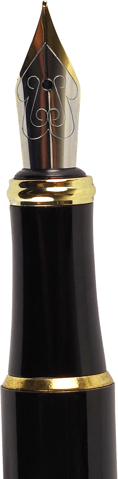 Midnight Floral Fountain Pen with Gift Box - Artemis Paper Company